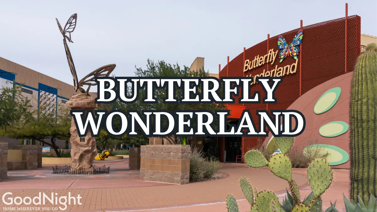 A cheerful exterior shot of Butterfly Wonderland, featuring its butterfly sculpture, welcoming sign, native cacti, and landscaped walkways. The scene radiates with a sense of adventure and educational exploration for all ages.