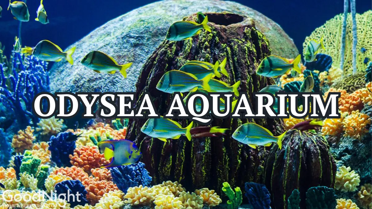 A dynamic interior scene of an aquarium exhibit, displaying vibrant coral reefs, schools of fish, and aquatic plants. The playful, enchanting mood draws in families for an educational and visually engaging experience.