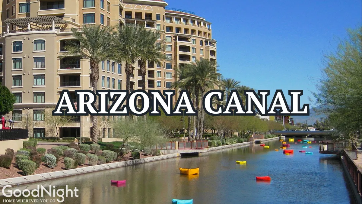 This exterior image captures the Arizona Canal lined with palm trees, colorful boats gently floating on the water, and residential buildings in the background. The lively setting is perfect for outdoor walks or relaxing by the water, embodying a playful and pet-friendly atmosphere.